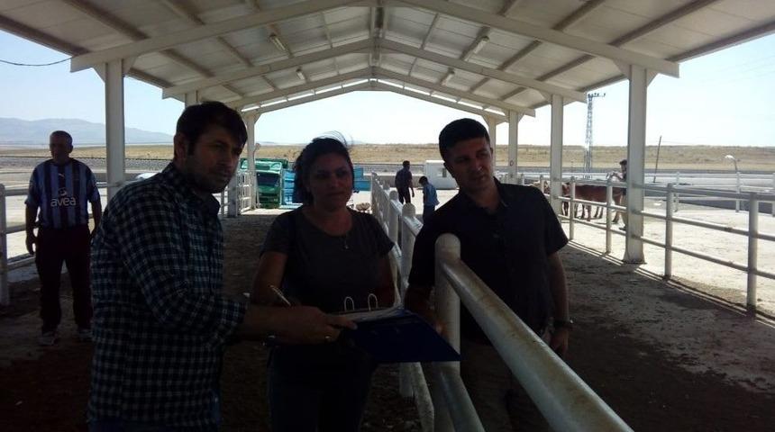 &Ouml;zalplı &Ccedil;ift&ccedil;ilere Hayvan Desteği