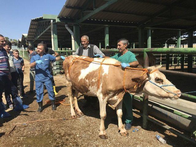 Kurban Kesim Kursu Sona Erdi