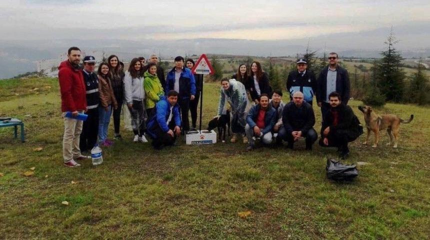 Ko&uuml;&rsquo;ye Sahipsiz Hayvanlar İ&ccedil;in Beslenme Kabinleri