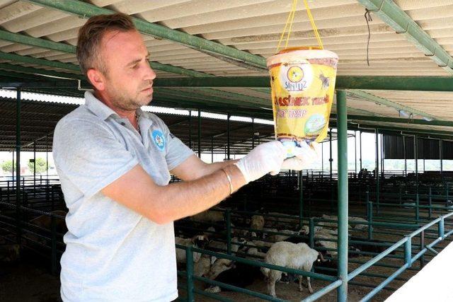 Kurban Bayramı Öncesi Büyükşehir’den Sağlık Tedbiri