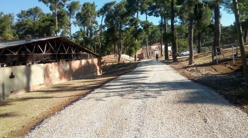 B&uuml;y&uuml;kşehir Mahallelerde Asfalt &Ccedil;alışmalarına Devam Ediyor