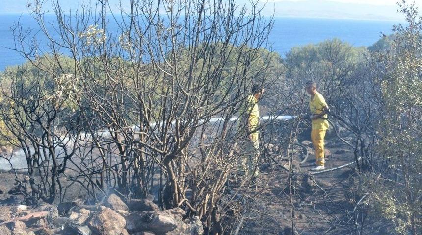 &Ccedil;anakkale&rsquo;de Makilik Yangını