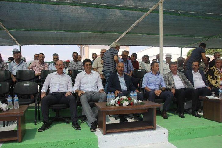 Kepsut’ta Yağlı Güreşler Nefes Kesti G2