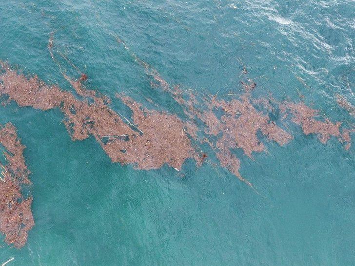 Karadeniz Adeta İkiye Bölündü G2