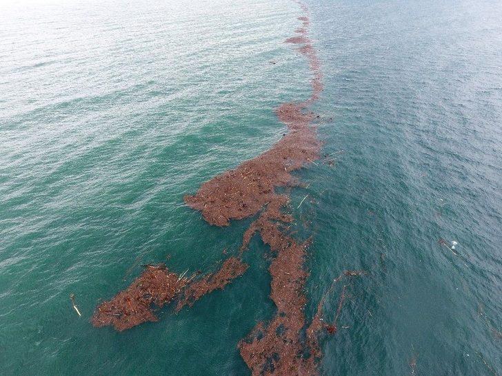 Karadeniz Adeta İkiye Bölündü G3