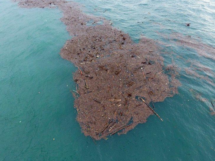 Karadeniz Adeta İkiye Bölündü G5