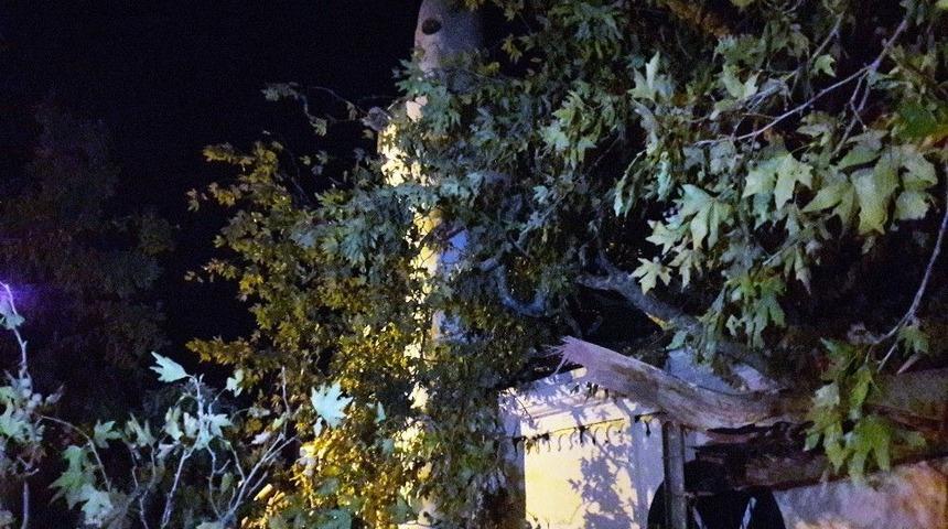 Beykoz&rsquo;da Asırlık &Ccedil;ınar Ağacı Caminin &Uuml;zerine Devrildi