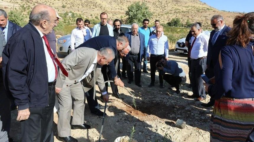 Harran &Uuml;niversitesinden Zeytin Gen Bah&ccedil;esi Projesi