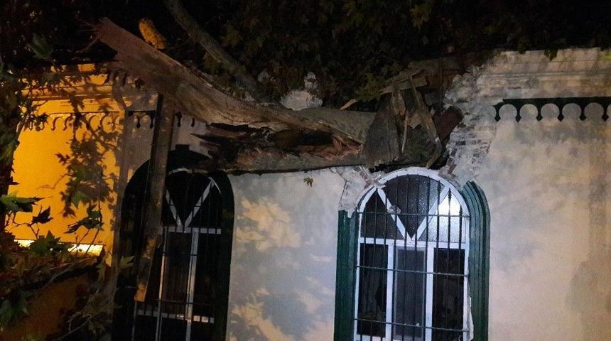 Beykoz&rsquo;da Facianın Eşiğinden D&ouml;n&uuml;ld&uuml;