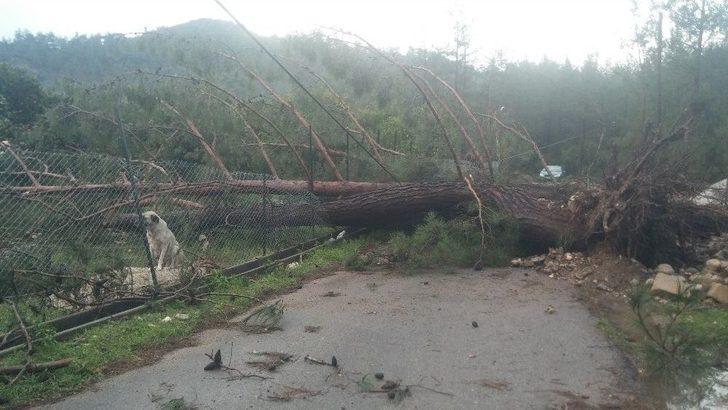 Antalya’da Şiddetli Fırtına Ve Hortum G2