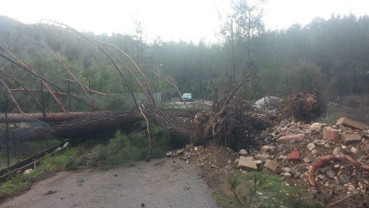 Antalya’da Şiddetli Fırtına Ve Hortum G3
