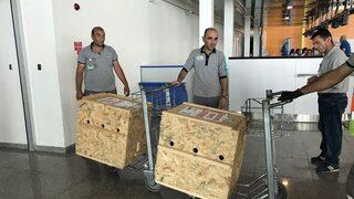 Tedavileri Tamamlanan Yavru Ayılar Uçakla Bursa’ya Gönderildi