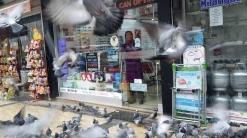 Emin&ouml;n&uuml; Değil G&uuml;m&uuml;şhane