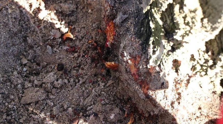 M&uuml;d&uuml;r Macit&rsquo;ten &Ccedil;ift&ccedil;ilere &Ouml;neriler