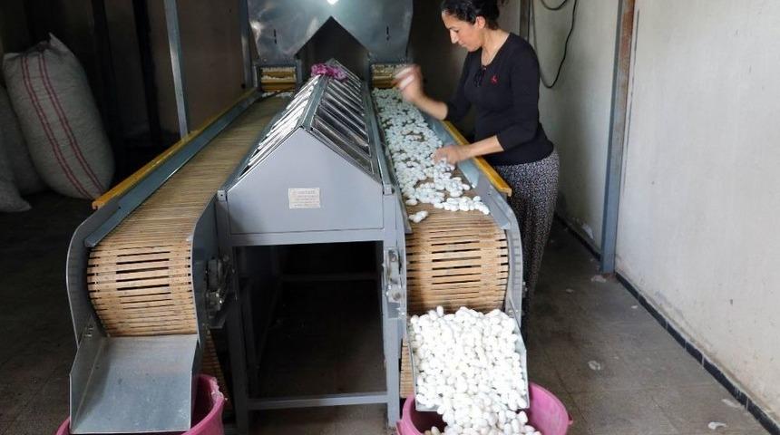 (&ouml;zel) İpek &Uuml;retiminin Başkenti Diyarbakır