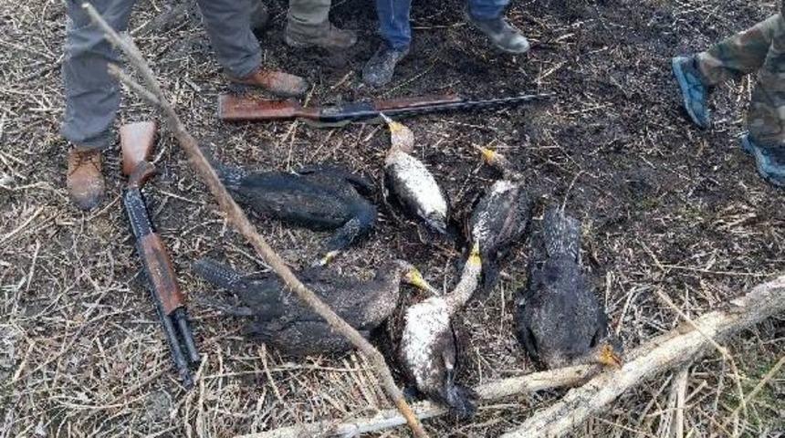 3 Ilde Ka&ccedil;ak Avcılara 322 Bin Lira Ceza