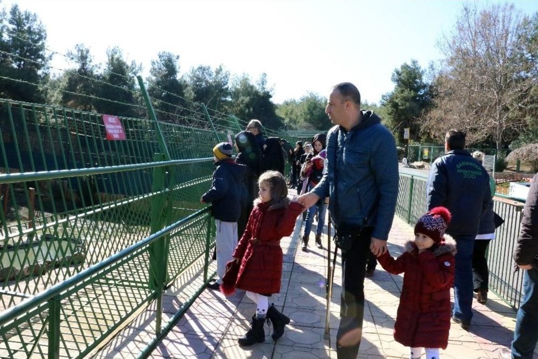Cumhurbaşkanı Erdoğan&rsquo;a Hediye Edilen Aslanlar Tavukla Besleniyor