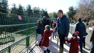 Cumhurbaşkanı Erdoğan’a Hediye Edilen Aslanlar Tavukla Besleniyor