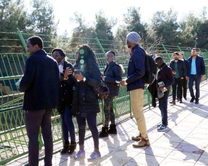 Cumhurbaşkanı Erdoğan’a Hediye Edilen Aslanlar Tavukla Besleniyor G4