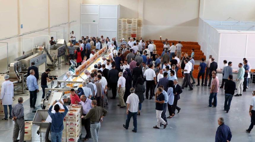 Elazığ'a 2,2 milyon liralık kayısı işleme ve paketleme tesisi