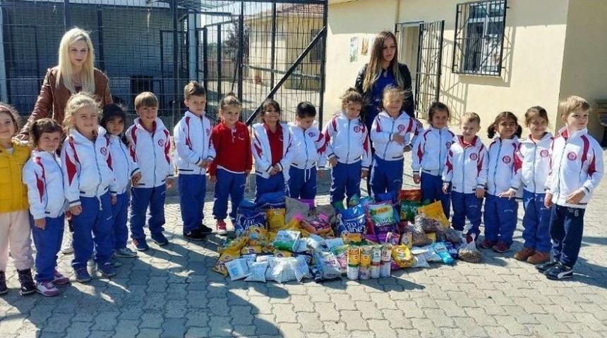 &Ouml;ğrenciler Minik Dostlarına Koştu