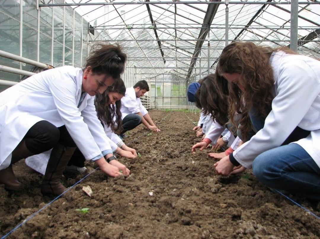 Ziraat M&uuml;hendisleri, Tarlada Ve &Ccedil;iftlikte Mesleği &Ouml;ğreniyor