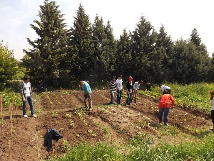 Ziraat Mühendisleri, Tarlada Ve Çiftlikte Mesleği Öğreniyor G4
