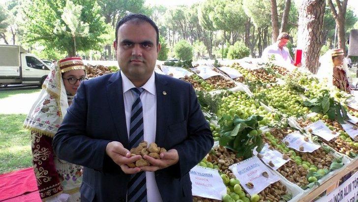 Sezonun İlk Organik Kuru İncirini Kilosu 100 Tl’den Vali Köşger Satın Aldı G3