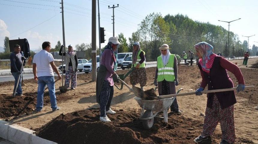 Simav&rsquo;da &Ccedil;im Ekimi &Ccedil;alışmaları