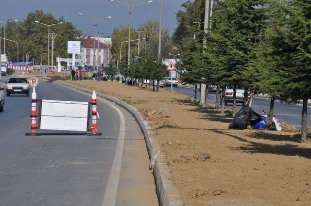 Simav’da Çim Ekimi Çalışmaları