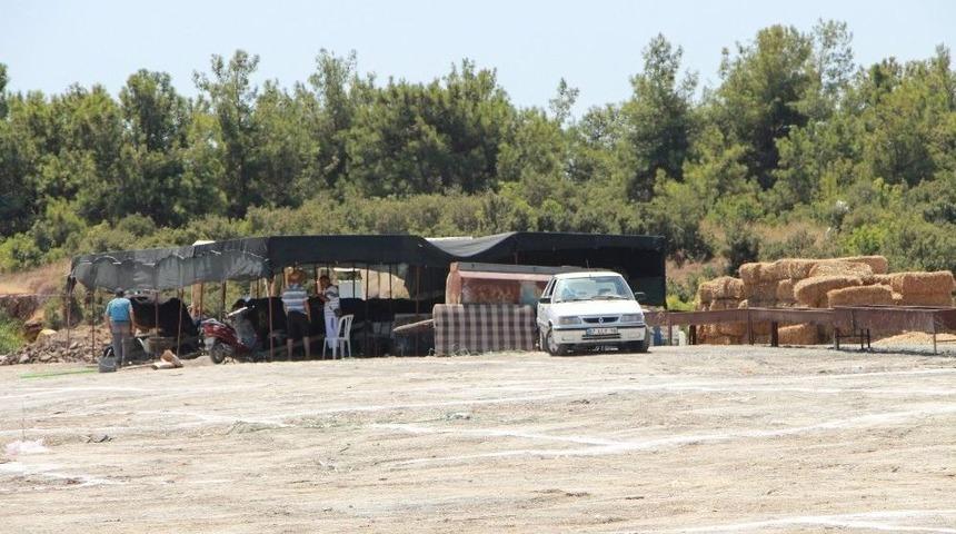 Manavgat&rsquo;ta Kurban Pazarı A&ccedil;ıldı