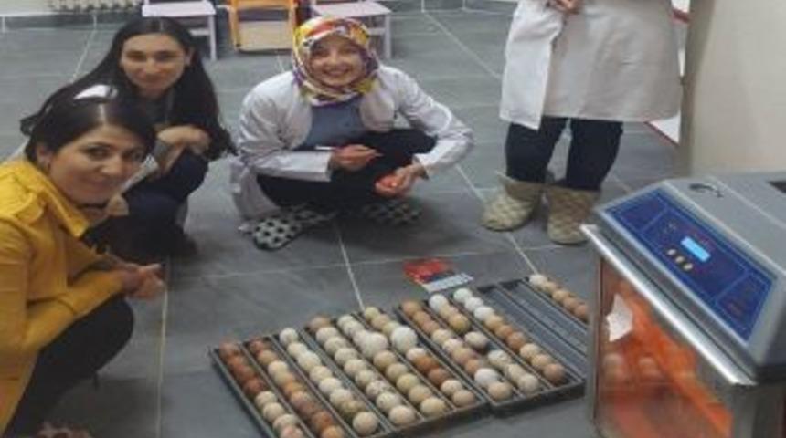 Anaokulu &Ouml;ğrencilerine Hayvan Sevgisi Aşılıyorlar