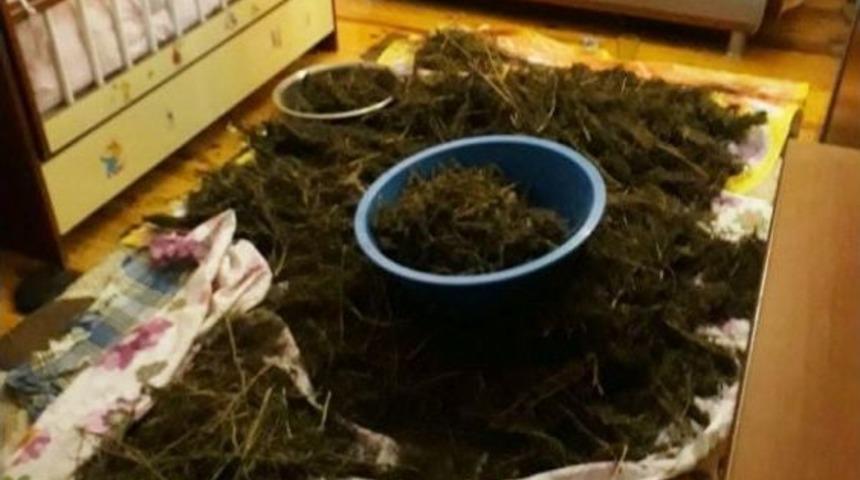 İzmir&rsquo;de Uyuşturucu Operasyonu: 11 Kilo Esrar Ele Ge&ccedil;irildi