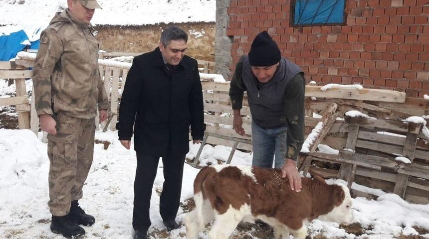 &Ccedil;alınan 5 Hayvan 7 Tane Olarak Geri D&ouml;nd&uuml;