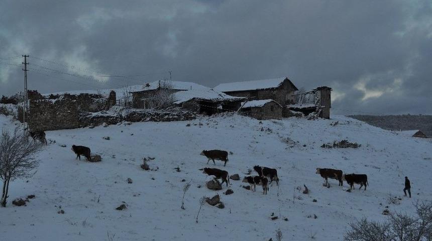 Kış Şartlarında Zorlu Hayvan Bakımı