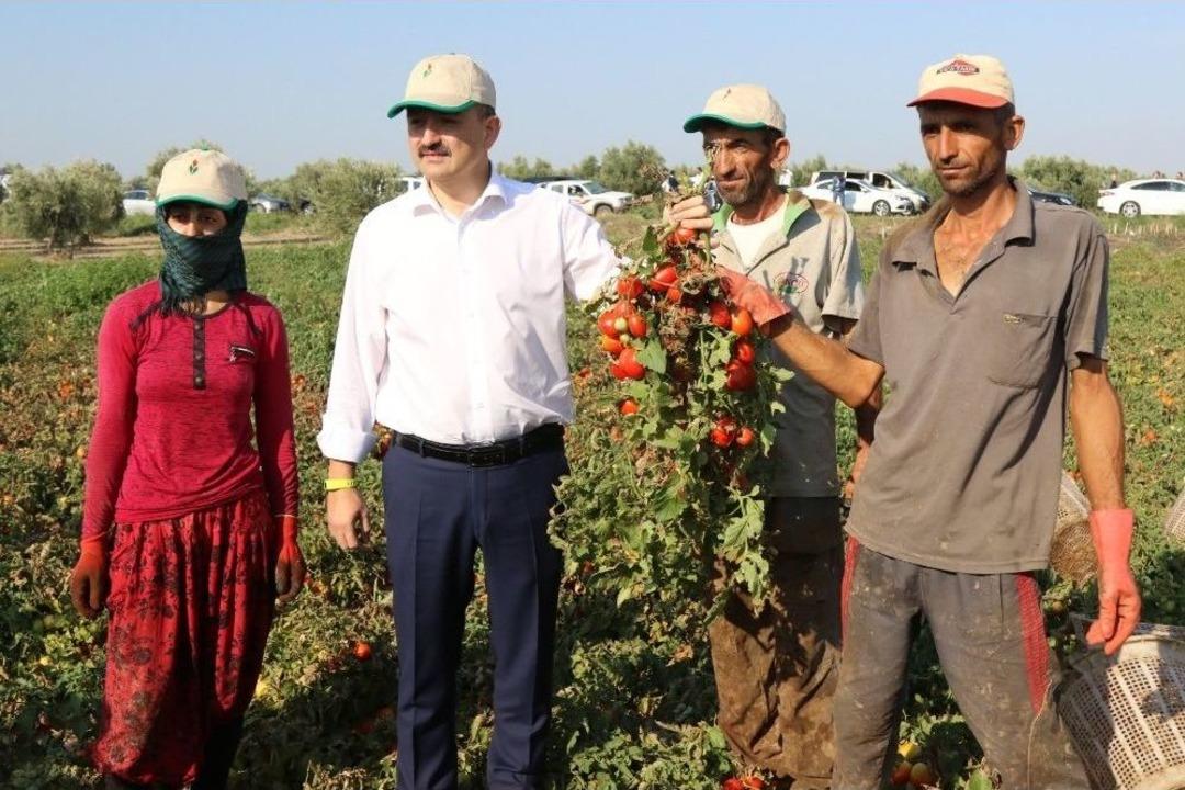 Bakan Pakdemirli Tarlaya İndi, Trakt&ouml;r Kullandı