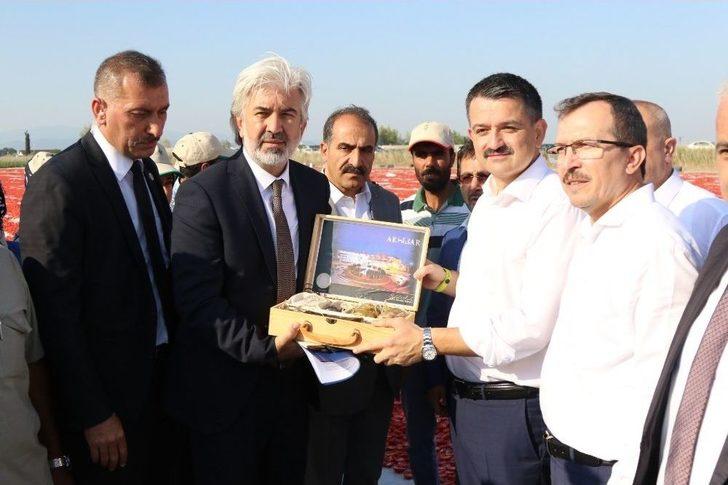 Bakan Pakdemirli Tarlaya İndi, Traktör Kullandı G2