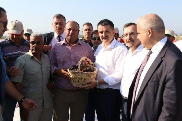 Bakan Pakdemirli Tarlaya İndi, Traktör Kullandı G4