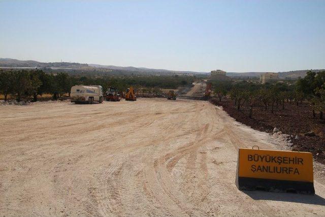 Şanlıurfa Büyükşehir Belediye Başkanı Nihat Çiftçi: