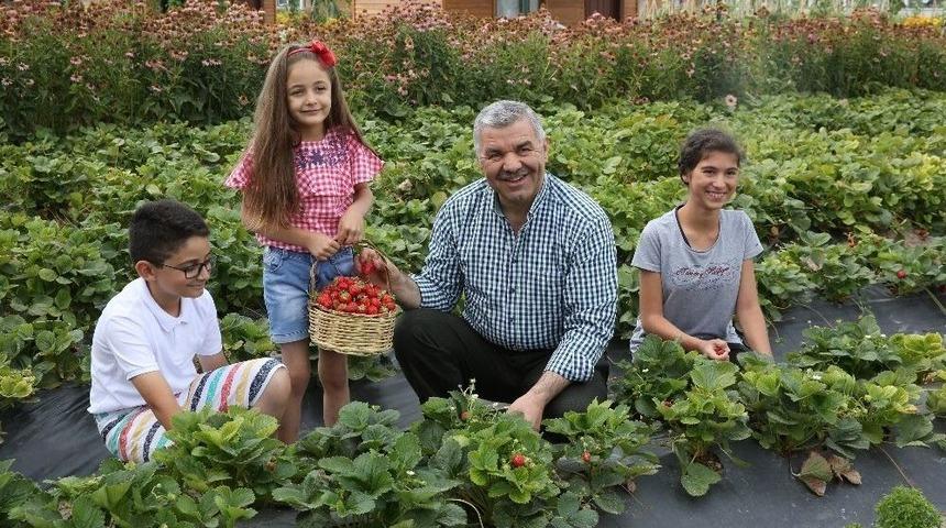 Başkan Çelik’ten Doğal Çağrı