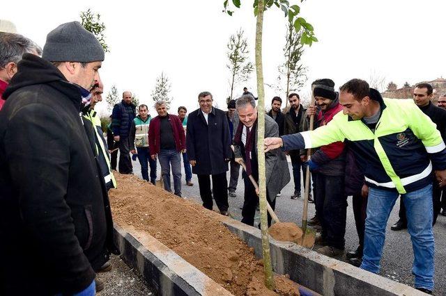 Başkan Çakır, İşçilerle Birlikte Ağaç Dikti