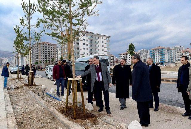 Başkan Çakır, İşçilerle Birlikte Ağaç Dikti