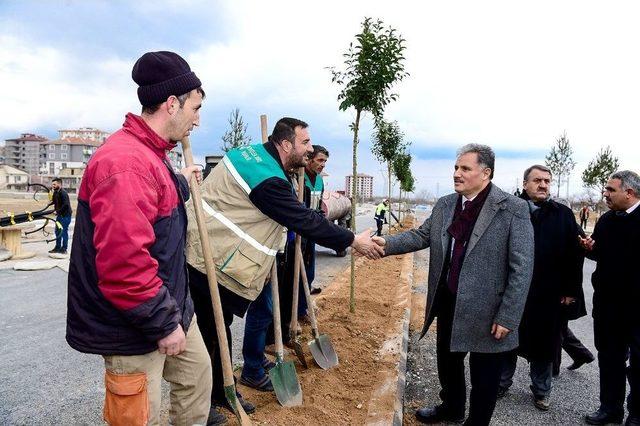 Başkan Çakır, İşçilerle Birlikte Ağaç Dikti