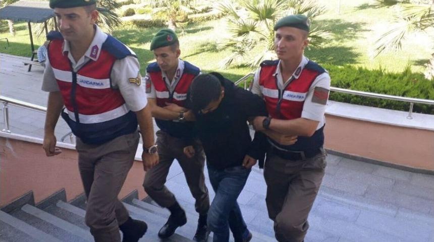 Ormanda Kenevir Yetiştiren Kişi Yakalandı