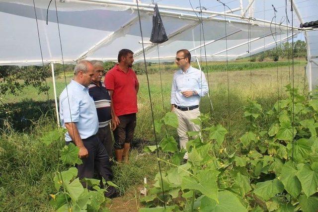 Kaymakam Çobanlık Yapan Çocuklara Oyuncak Dağıttı