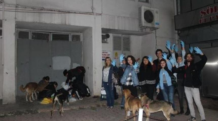 &Ccedil;&ouml;plerden Topladıkları Yiyeceklerle Sokak Hayvanlarını Besliyorlar