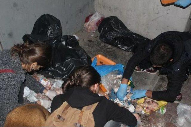 &Ccedil;&ouml;plerden Topladıkları Yiyeceklerle Sokak Hayvanlarını Besliyorlar 3