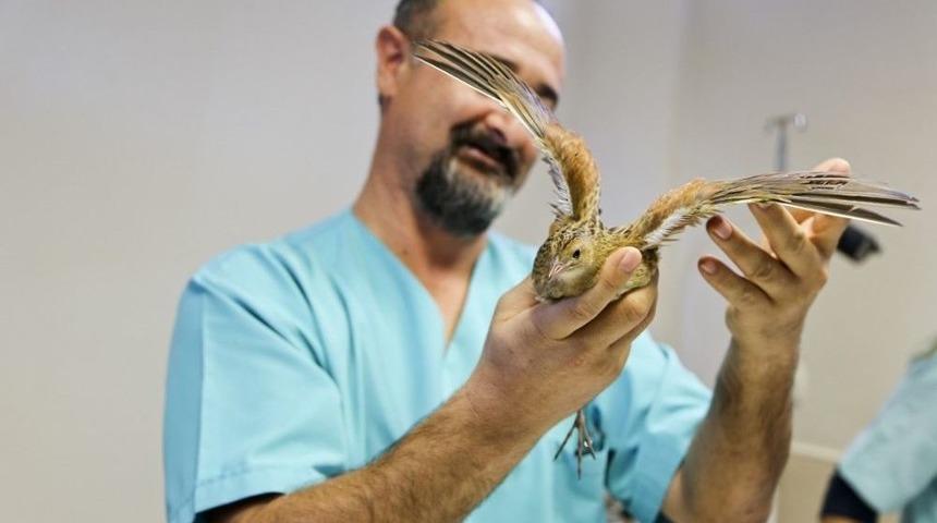 Yaşlı Şahinin İmdadına Belediye Yetişti