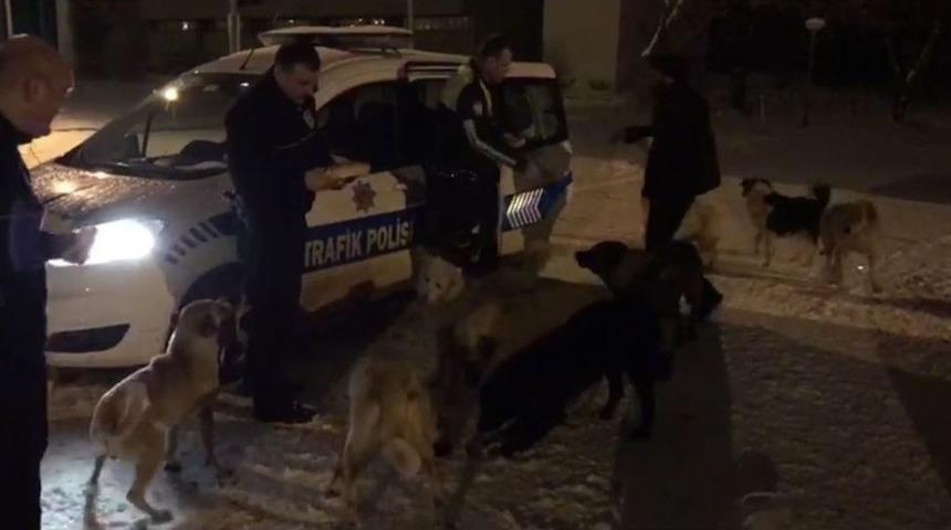 Kars Polisi &Ouml;rnek Davranış