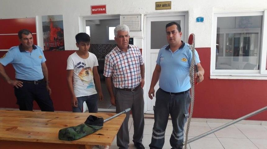 Evine Giren Yılan Beslediği Kuşu Yedi